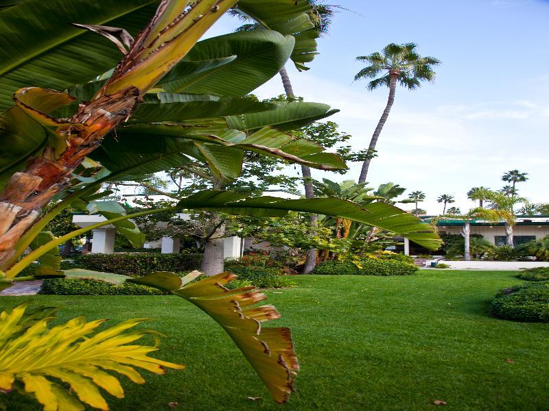 Mission Valley Resort San Diego Bagian luar foto